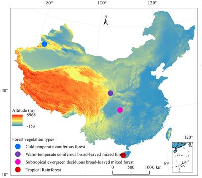 Differences in functional niche hypervolume among four types of forest vegetation and their environmental determinants across various climatic regions in China